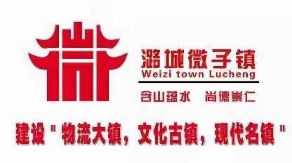 共克时艰，全民战“疫”
     ——微子镇爱心捐赠活动纪实（一）