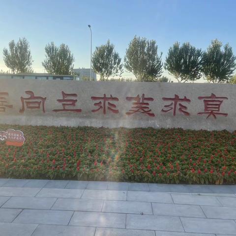 少年 加油