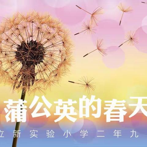 《蒲公英的春天》作文集（第一季）——立新实验小学二年九班