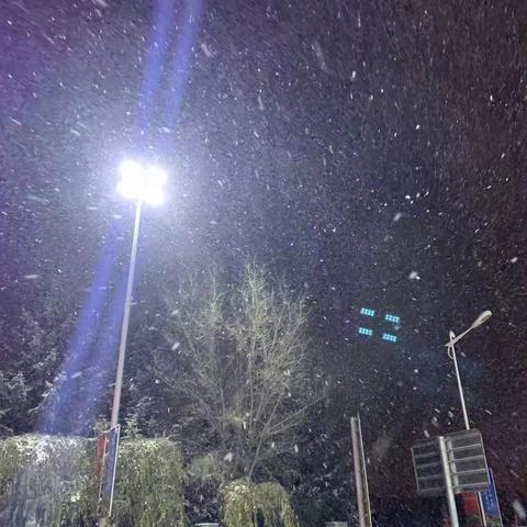 【和平大街收费站】一念冬来  一念雪落