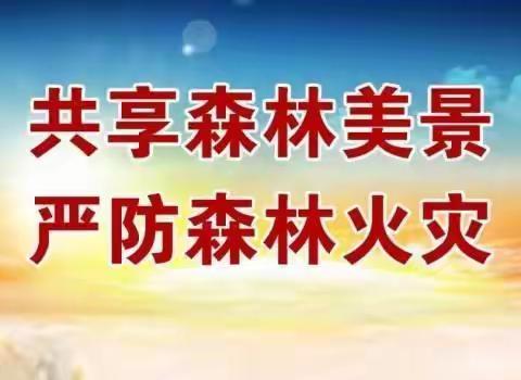 大同市云冈林场森林草原防火半专业队2022年春季防火知识培训及实地演练