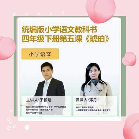 学有指导   教有深度