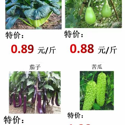 10.1-10.3欢度国庆 超值大放价
