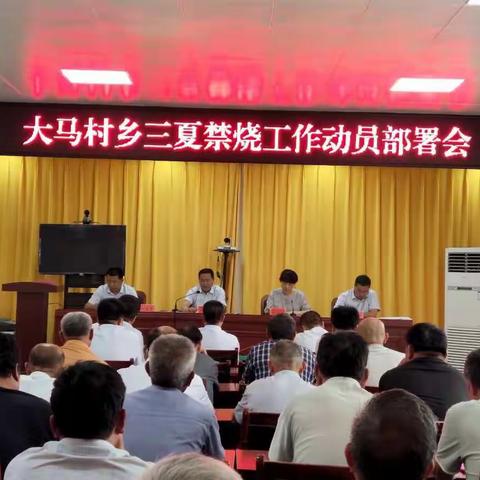 【大马村乡】提高政治站位，严明纪律责任，大马村乡召开贯彻全国“两会”精神暨“三夏”生产秸秆禁烧工作会