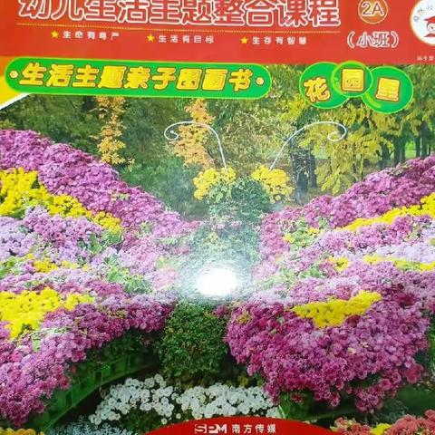 娃哈哈幼儿园小班《花园里》精彩回放