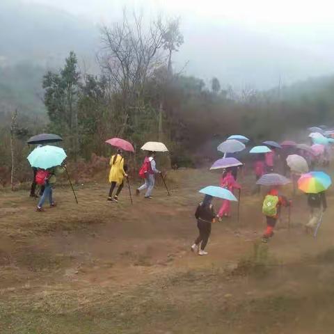 春雨淅沥，乐徒箐口