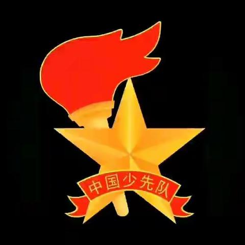 “众志成城  抗击疫情”兰中加少先队为中国加油