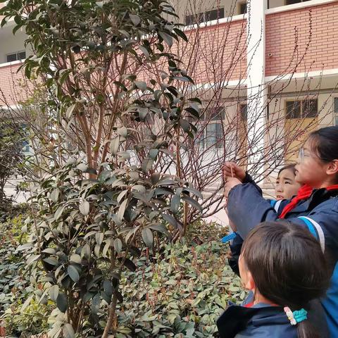 相逢植树节 爱在春天里——浚州小学植树节活动