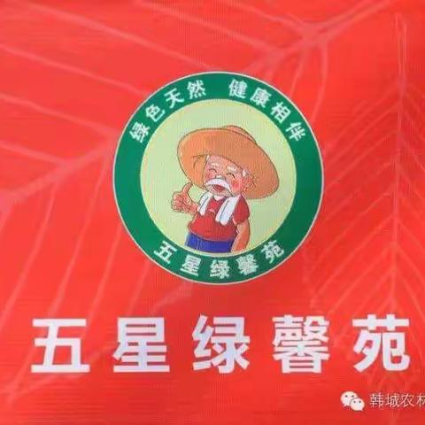 我的美篇