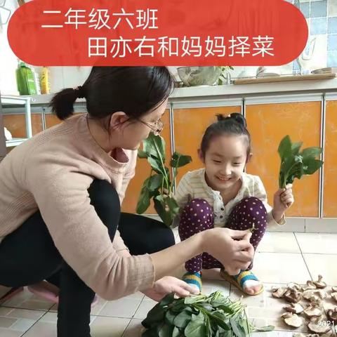 感母恩，献心意