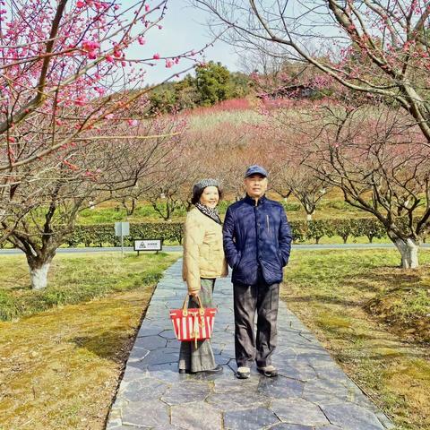 烟花三月，香山游2024.3.1