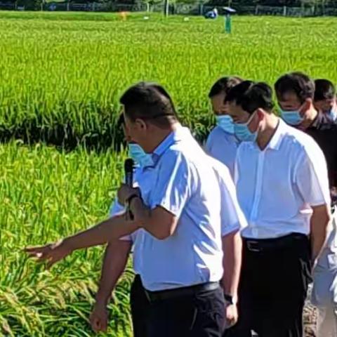 乌兰浩特市召开全盟基层科协组织建设现场会