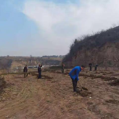 临潼区国营苗圃开展育苗地建设工作