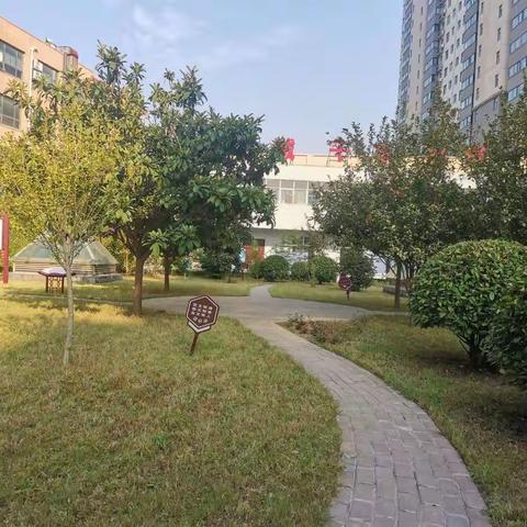 开展环境卫生整治 营造清洁工作环境