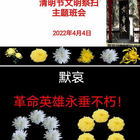 “童心向党，清明祭英烈”大义镇小徐营小学开展网上缅怀先烈主题活动