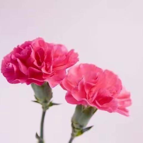 ZHANGYUEQI_的美篇