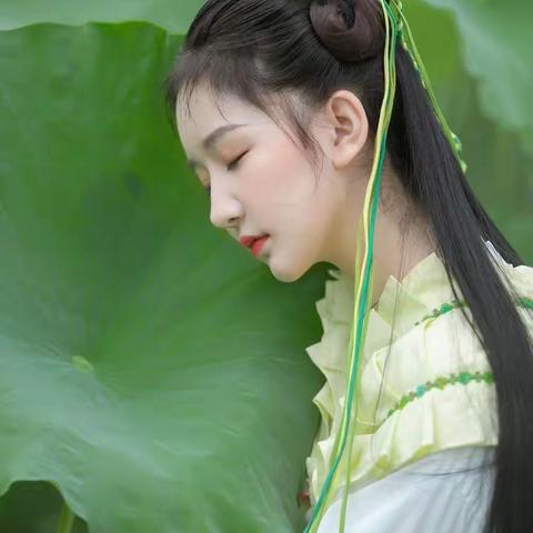 【原创】荷风吹过的夏天
