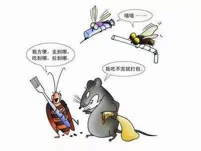 病媒生物防制常识