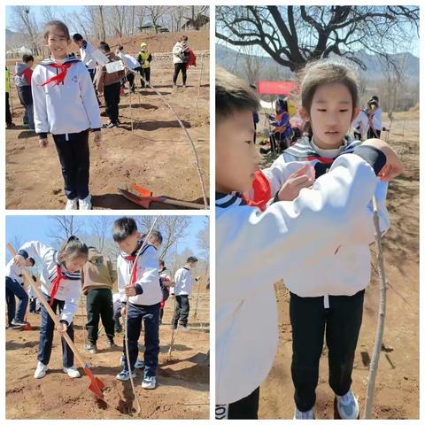 阳春三月，草长莺飞，我和小树共成长----博兴一小2019级7班植树节活动