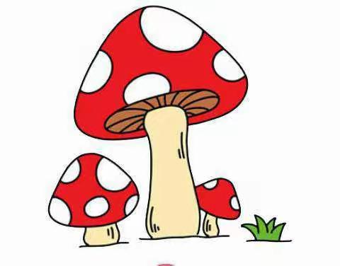 王家坝镇中心幼儿园小班《手工粘土》