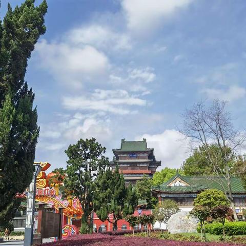 惟愿化作一道微光暖人间