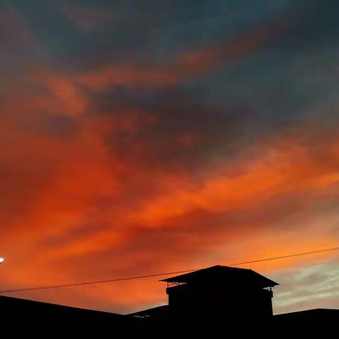 快乐暑假ʕᵔᴥᵔʔ