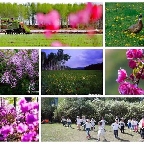 疫情防控，重于泰山—通河县疾控中心莅临岔林河农场学校开展学生返校复学疫情防控工作督导检查