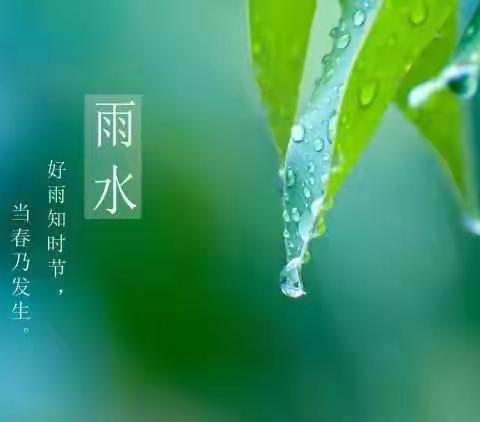 二十四节气——雨水