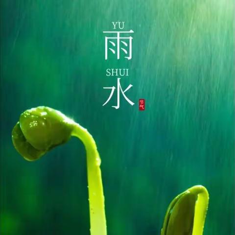 “雨”爱同行，润物无声—南营幼儿园二十四节气雨水系列活动