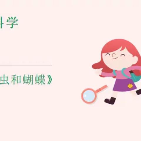 小班科学《毛毛虫和蝴蝶》🦋