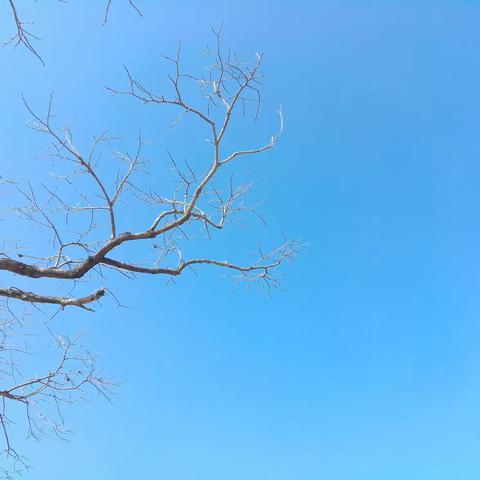 天高任鸟飞，海阔凭鱼跃