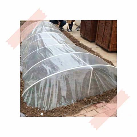 蔬菜搭棚记——焦作市解放区第一幼儿园中三班种植活动