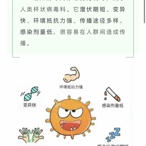 开学正是诺如病毒高发期 家长如何做好预防？