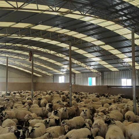 卫拉特生态农牧的美篇