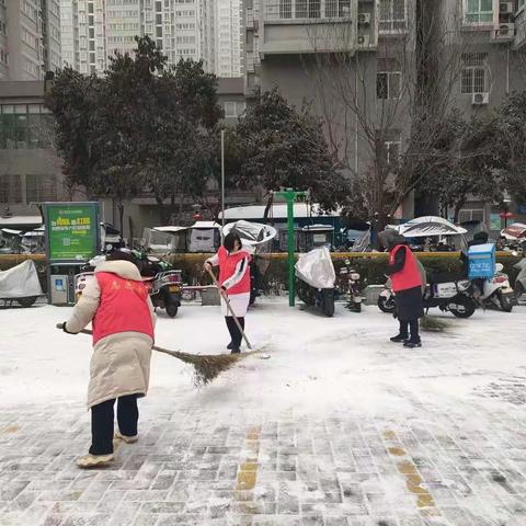 【八府睦邻】党建引领网格自管，白雪更映网格红——八府庄园社区开展清冰扫雪活动