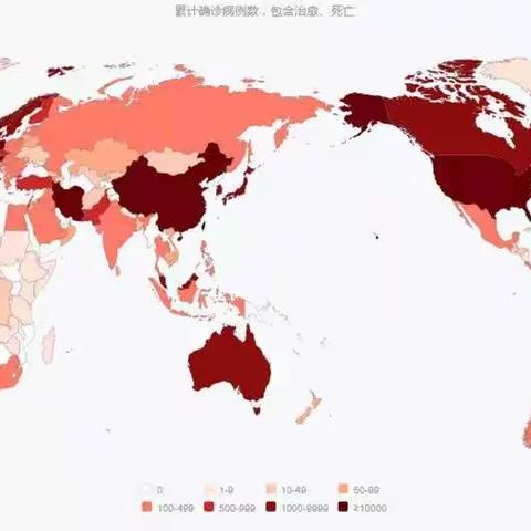 “桥西教育疫情防控”之西雅教育集团|不一样的寒假（一年级五班 段林昊）