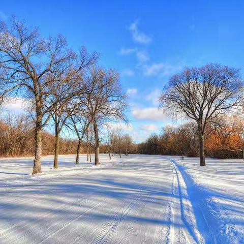 回首我的2020学习之路