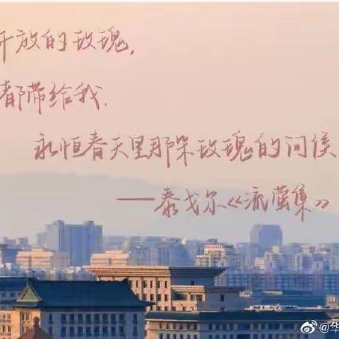 现代诗歌的魅力