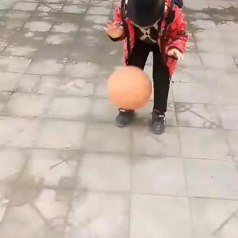 蓝蓝的天空是小鸟的家，