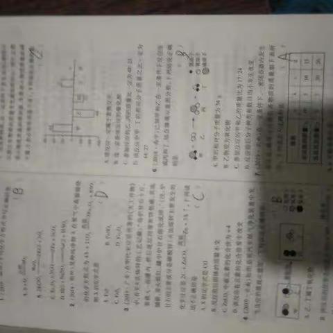 王志强的语文，数学，英语，历史，化学的美篇