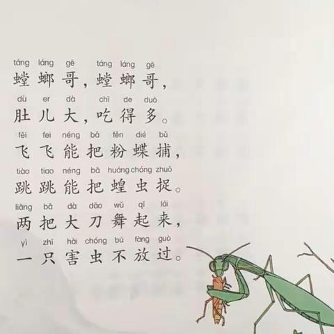 走进阅读，享受阅读———《螳螂》育才可立小学一5班阅读分享活动