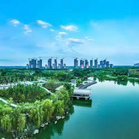 阜阳“绿色名片”夏日纳凉好去处——岳家湖公园
