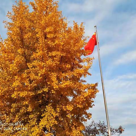 《辛心相印家乡美》小辛庄学区系列活动（一百一十）“丰收礼赞”小辛庄乡学校杨家庄教学点丰收节