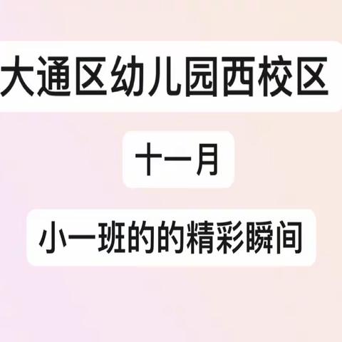 大通区幼儿园西校区——小一班11月的精彩瞬间