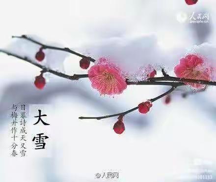 【大一班】大雪节气———遇见美好