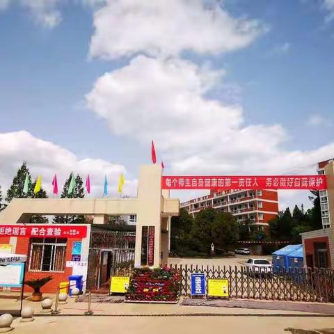 春光旖旎  魅力白中