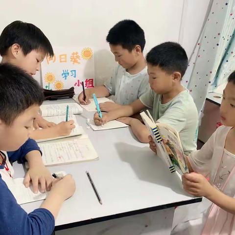 阜宁县北沙中心小学暑期阅读展示（十五）