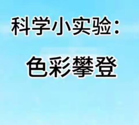 科学实验《色彩攀登》院上镇奔达幼儿园