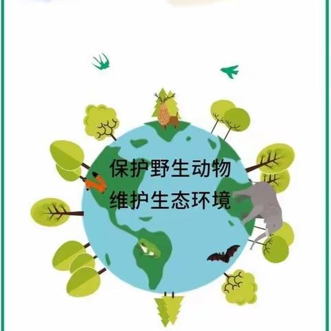 青阳县第二幼儿园大班组“非常假期——幼儿居家生活保教指导”第七期