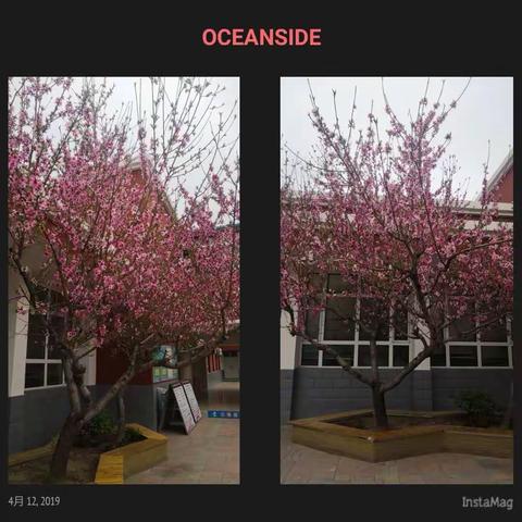 实践出真知，教研促成长